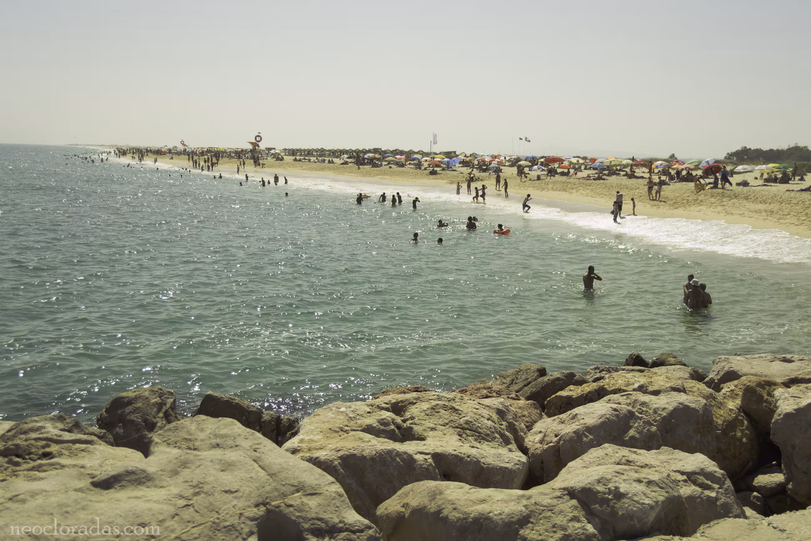 Tavira