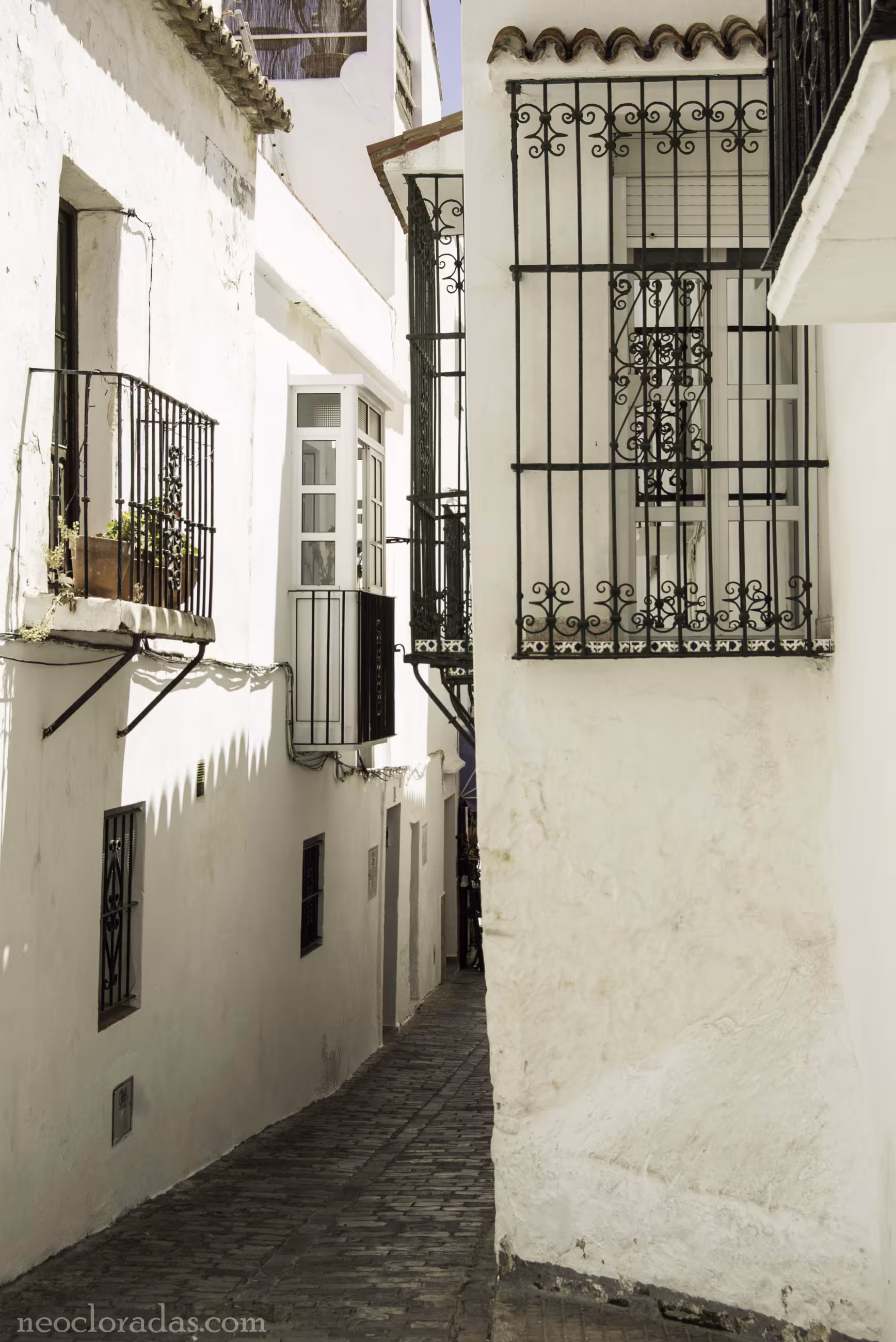 Tarifa